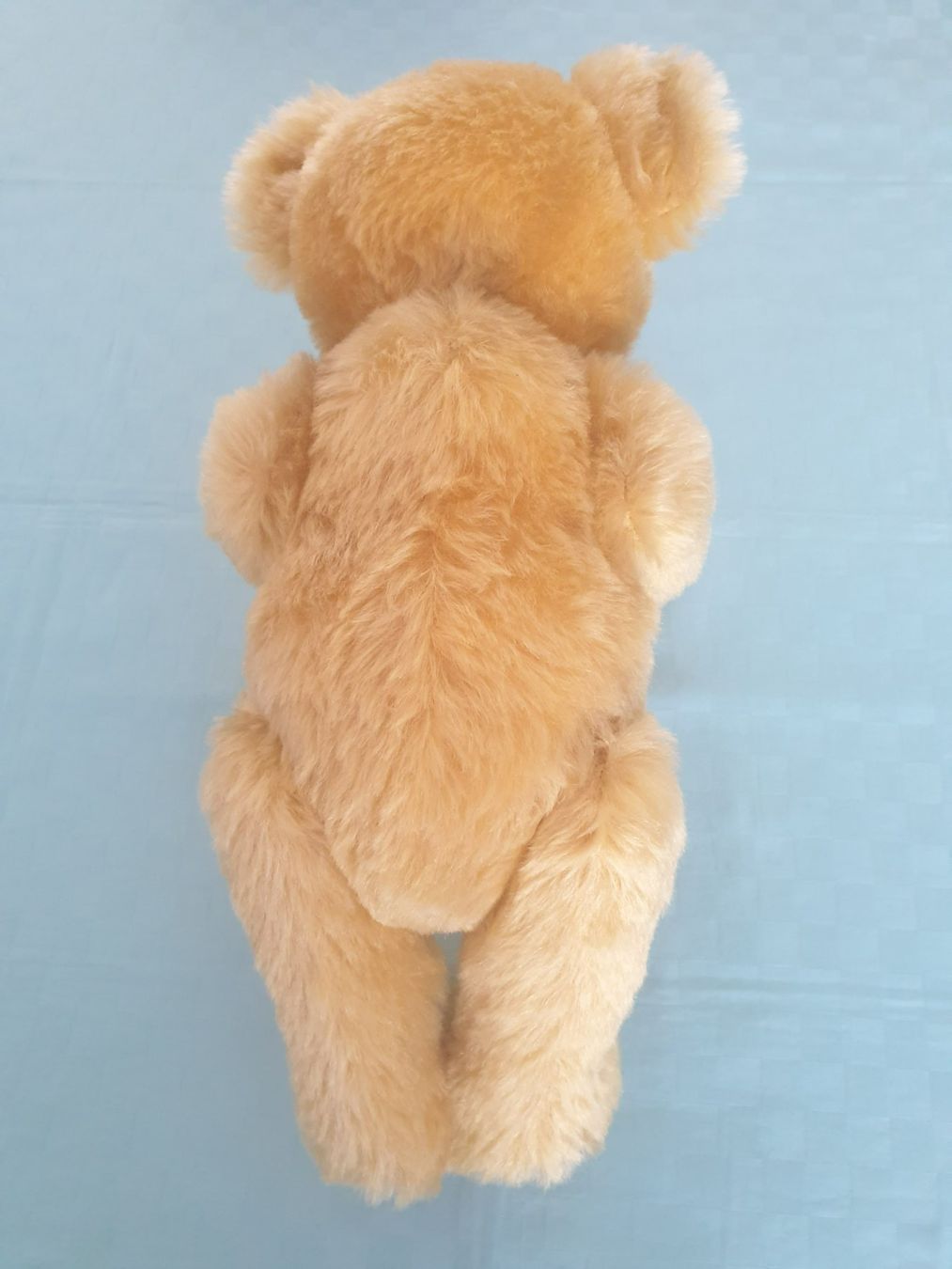 Steiff Giocattoli: Teddybär Teddy STEIFF – Usato da Mörschwil venduto da spirspi 6