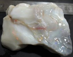 Schwarzer Opal 137 ct Lightning Ridge Australien