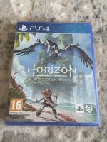 HORIZON