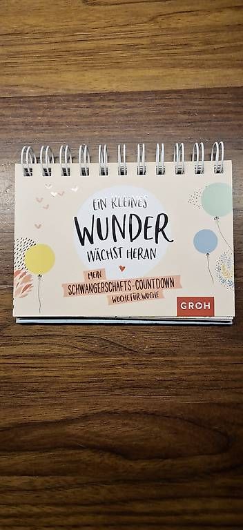 CDs: Schwangerschaftscountdown – Gebraucht aus Dielsdorf von Patricia_Wirz