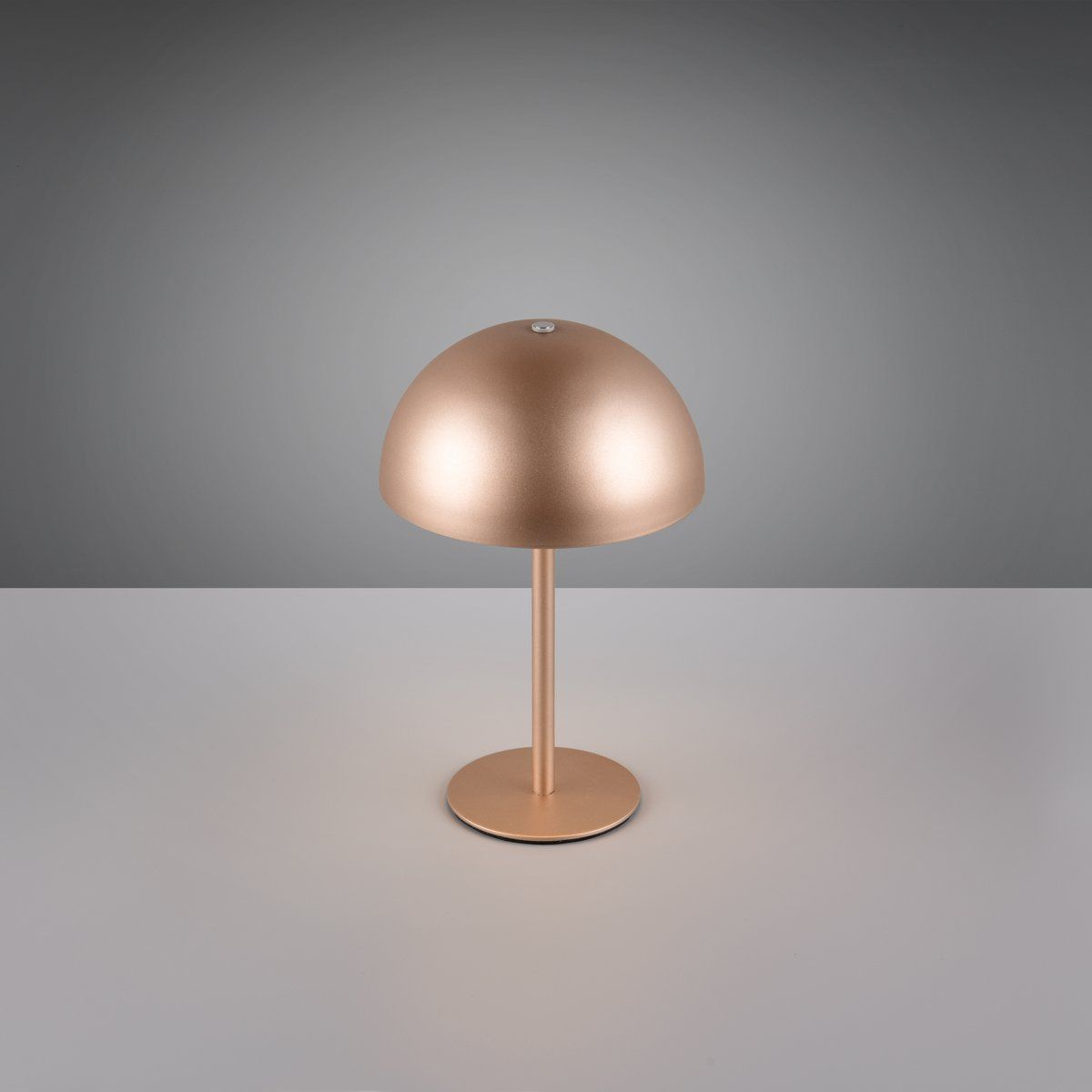 Lampade: LED Tischleuchte, Coffee, 21 cm Höhe – Nuovo (secondo la descrizione) da Kreuzlingen venduto da Smart-Light