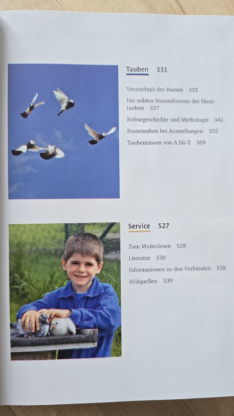 Libri: Rasse Geflügel Kompakt – Nuovo (secondo la descrizione) da Rüthi (Rheintal) venduto da Sinhue 4