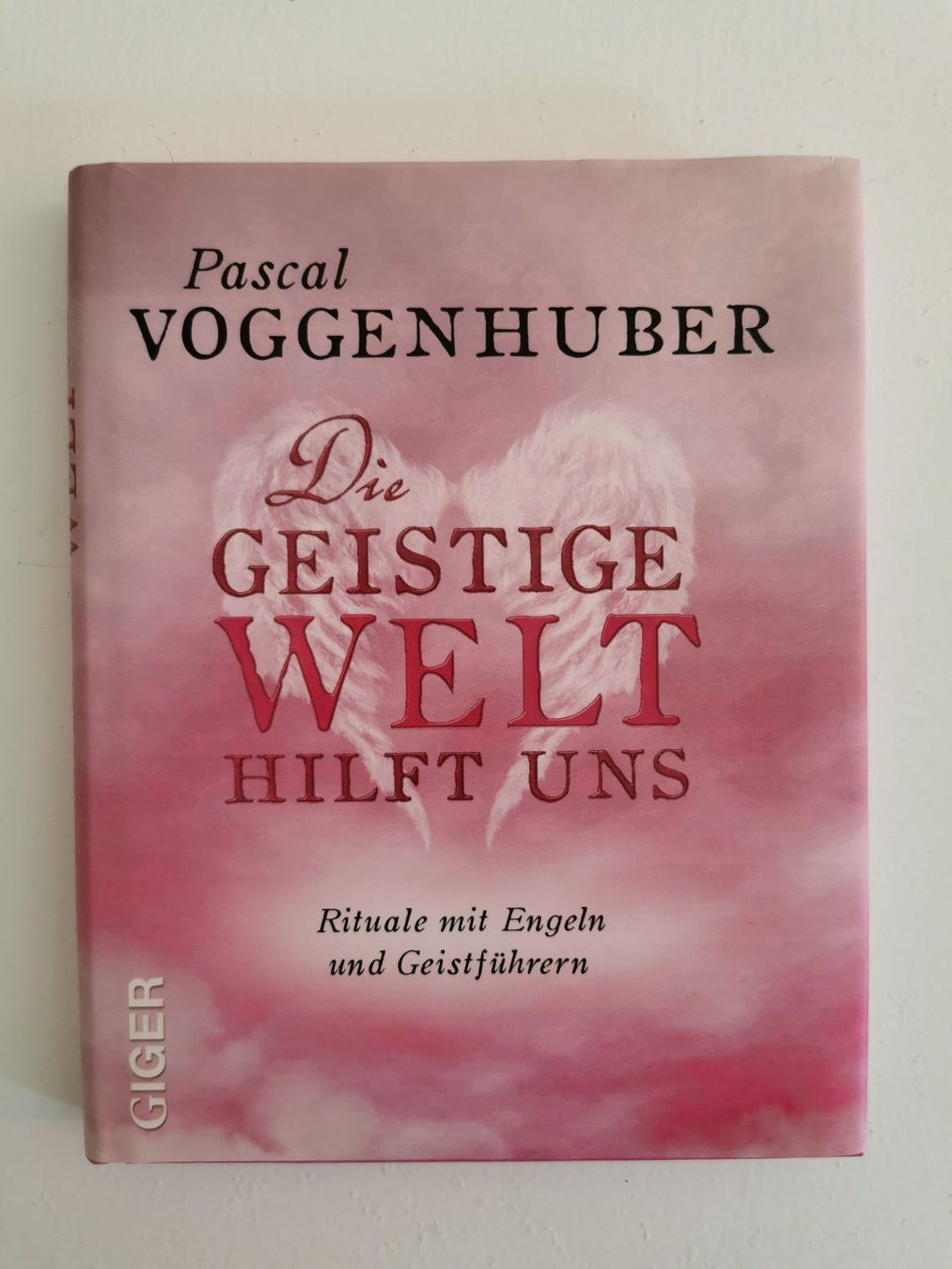 Bücher: Pascal Voggenhuber - 5 Bücher – Gebraucht aus bern von jeannie2006