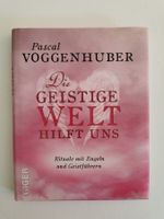 Pascal Voggenhuber - Die geistige Welt hilft uns