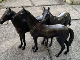 Pferdegruppe 