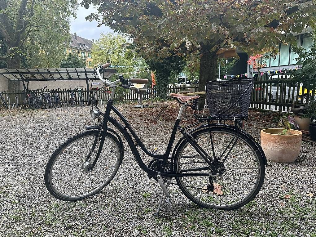 Velos: Damenvelo – Gebraucht aus Bern von ilariamaria