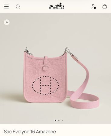 New Hermes Evelyne TPM Rose Sakura