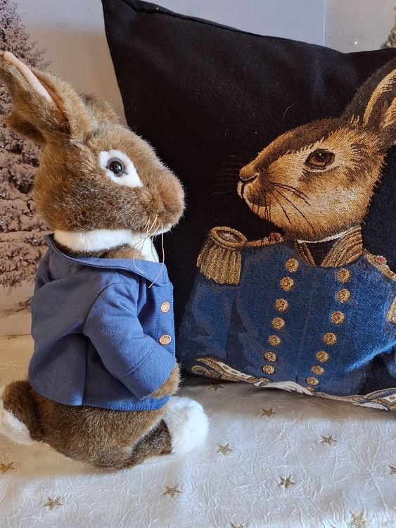 PETER RABIT VON STEIFF MIT KISSEN PETER RABIT (Neu (gemäss Beschreibung ...