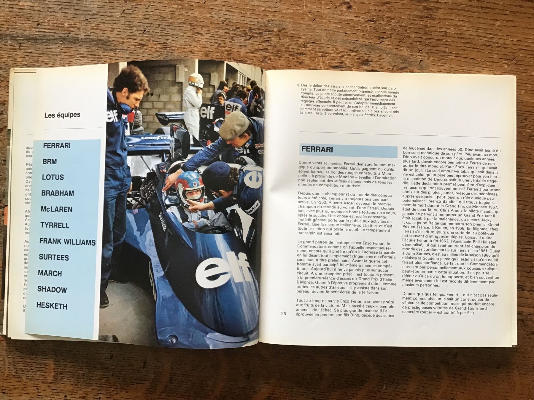 Libri: Champions (F1) et bolides – Usato da Fully venduto da Ruby97 3