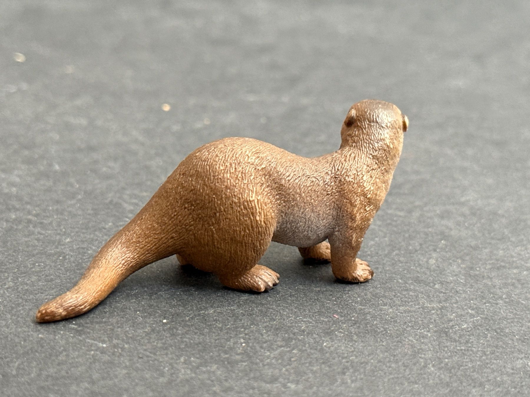 Schleich Statuette: Schleich Otter Tier Schleichtier – Usato da Ennetbaden venduto da mapa05 4