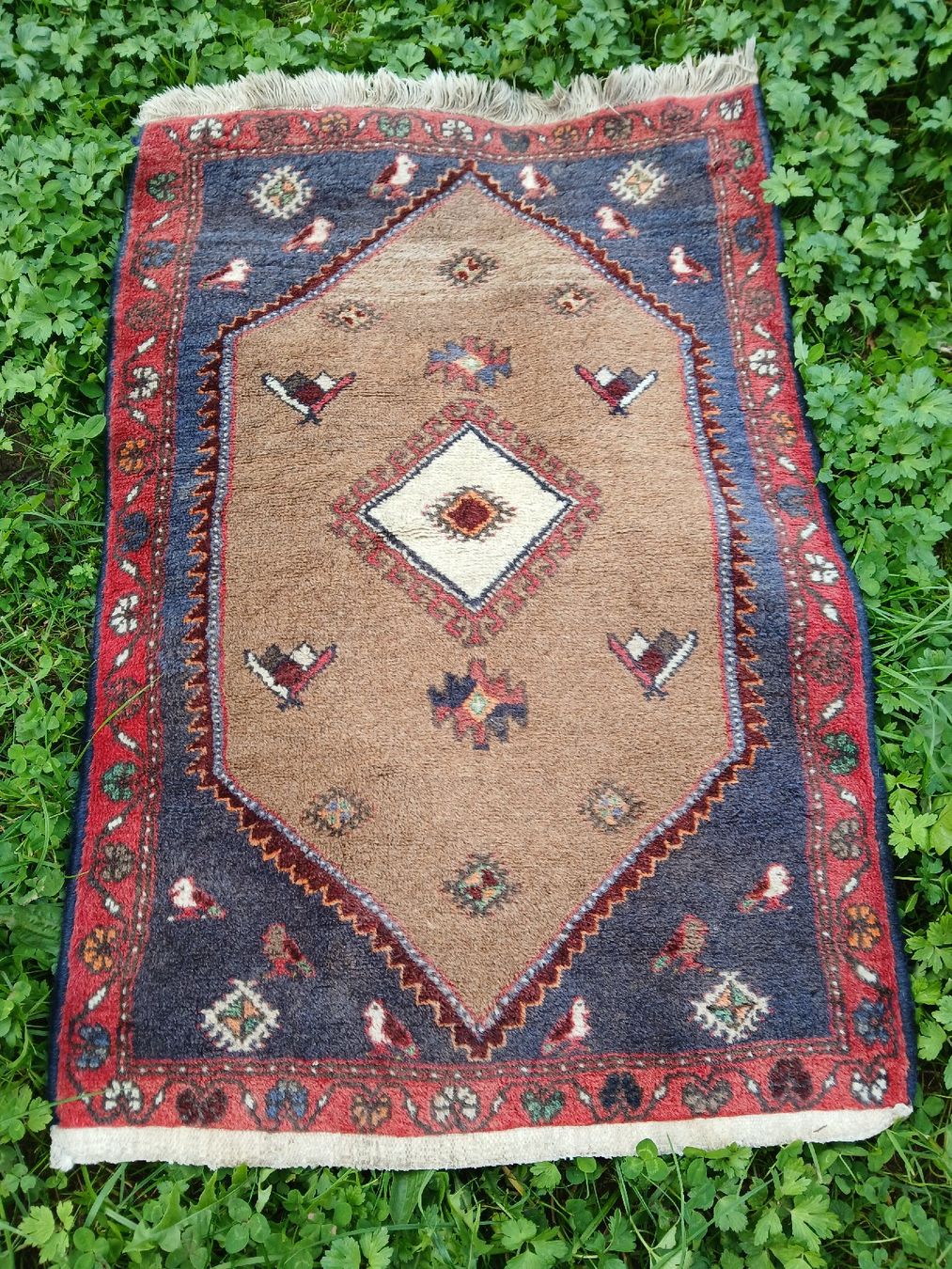 Tappeti: Perserteppich, echter Orientteppich, Vintage, Iran, Wolle – Usato da Frasnacht venduto da ale_g288 2