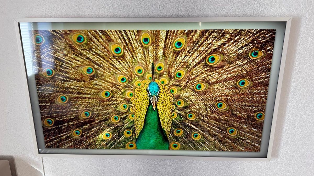 Samsung Televisori: Samsung Frame TV – Usato da Zürich venduto da AngelaS21