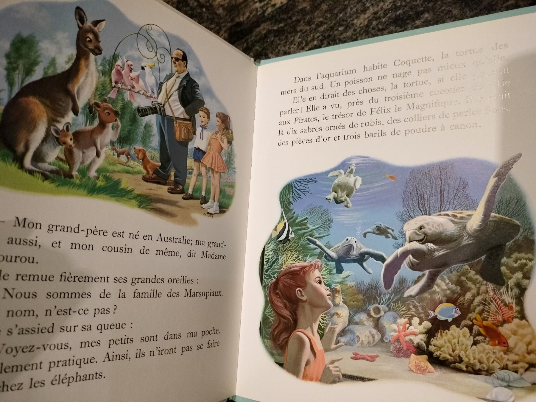 Libri: Martine au zoo dès 3 ans – Usato da Cortaillod venduto da rozinna 7