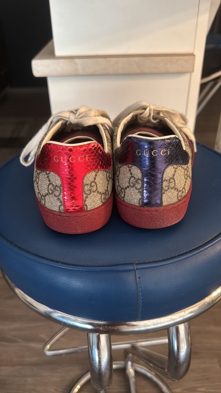 Gucci Scarpe da uomo: Baskets Gucci authentiques taille 40.5 – Usato da Courroux venduto da Hermes282 1