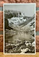 LAC DE MAYEN et les Tours d‘Aî - Leysin - Kühe