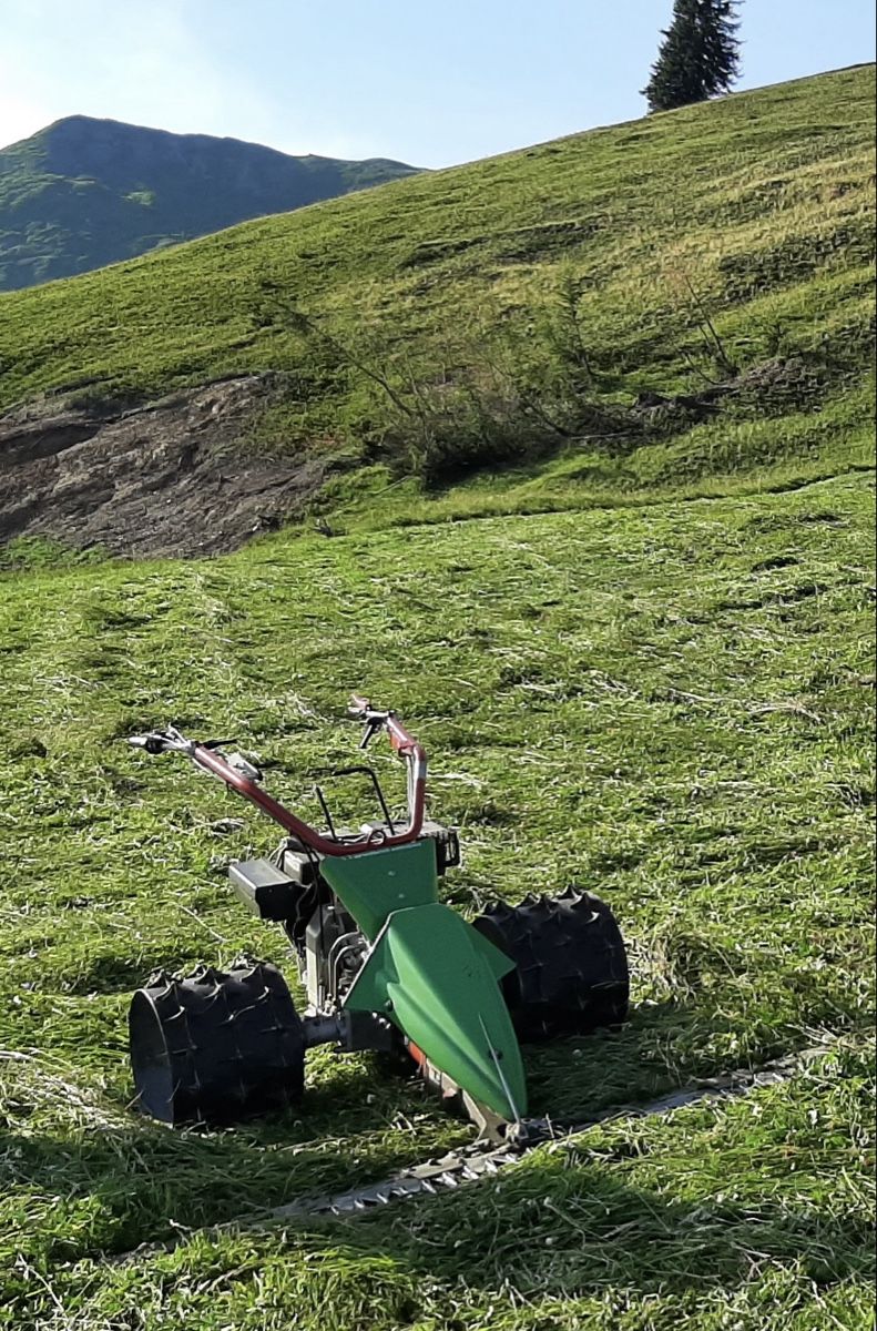 Rapid Tutte le macchine: Rapid Swiss Motormäher – Usato da Castiel venduto da FDEUTZS