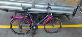 Velo