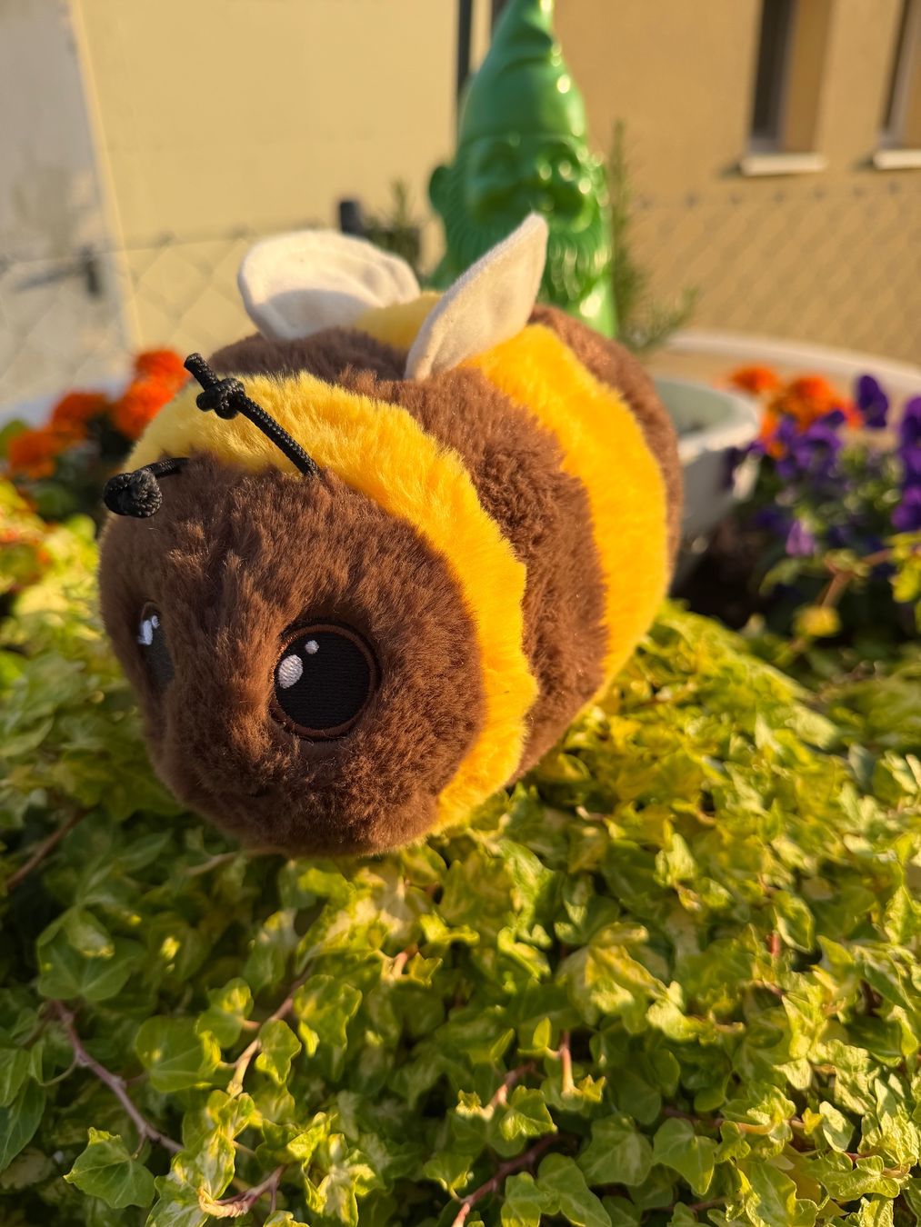 Coop Giocattoli: Plüsch Hummel Tschilli Coop - Neuwertig – Usato da Cugnasco venduto da tizianaq 3