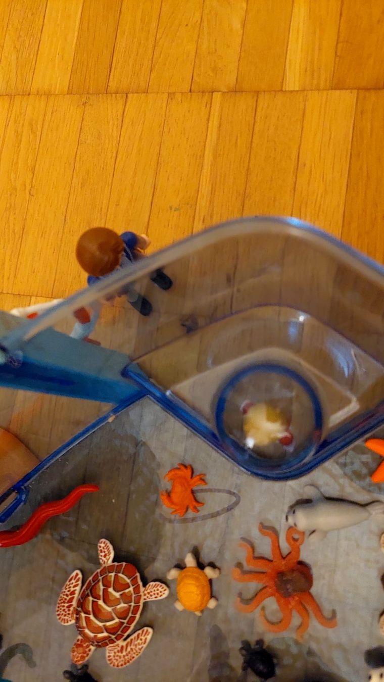 Playmobil Giocattoli: Playmobil Aquarium – Usato da Meilen venduto da maschentausend 6
