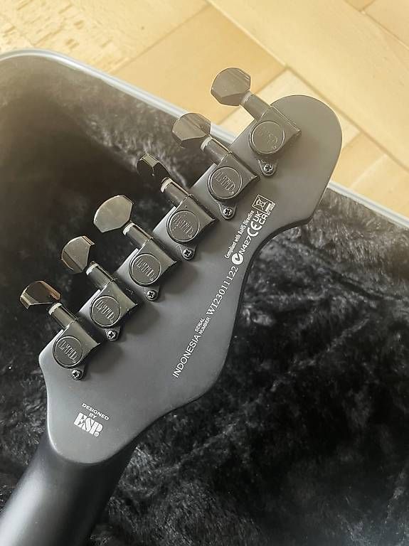 Esp Strumenti musicali: ESP LTD TE-201 Lefthand Gitarre – Nuovo (secondo la descrizione) da Bern venduto da ckna3005 4