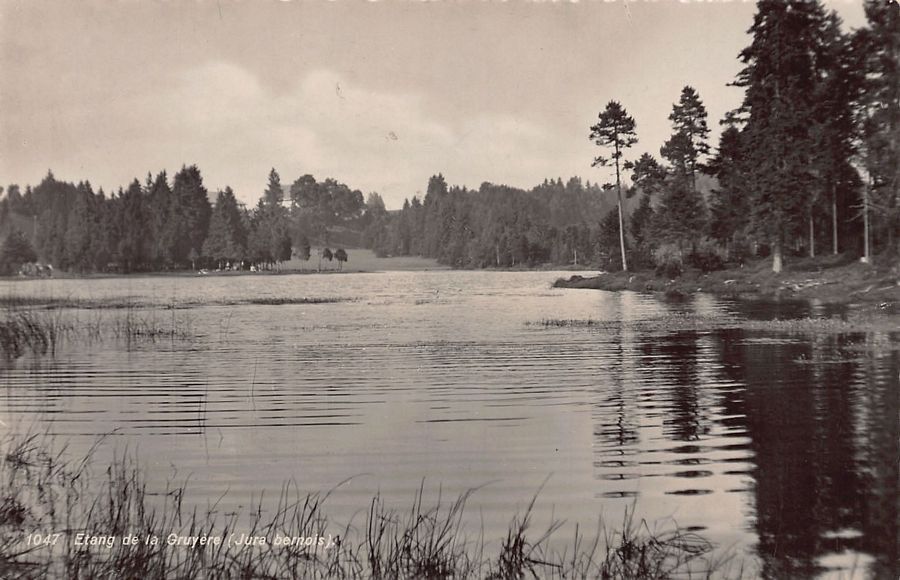 Cartoline postali: Etang de la Gruère, circulée 1947 – Usato da Frauenfeld venduto da POML