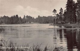 Etang de la Gruère, circulée 1947