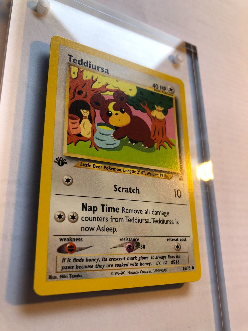 Carte collezionabili: Teddiursa 1st Neo Discovery - MINT - ab 1.- – Usato da Giubiasco venduto da dan_pr8b 1