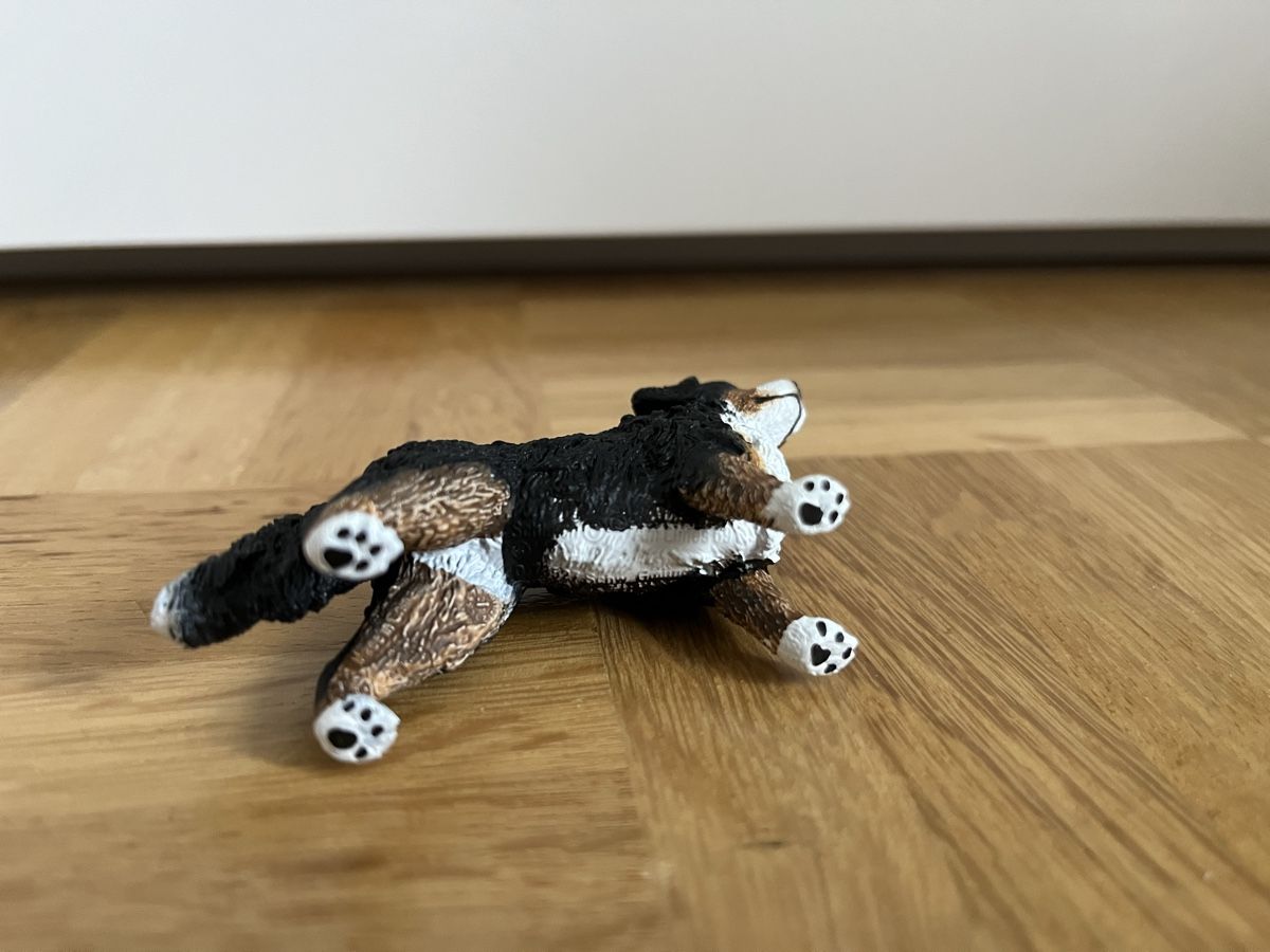 Schleich Giocattoli: Schleich Hund – Usato da Kilchberg ZH venduto da celinaemi 2