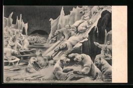 AK Wilhelm Hagenbecks Eisbärengruppe