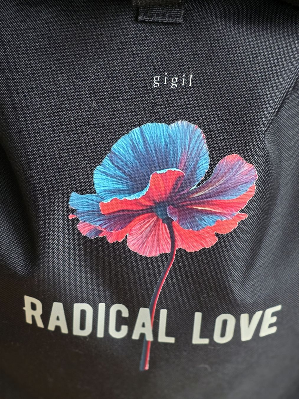 Zaini: Rucksack Neu – Nuovo e nell'imballaggio originale da Interlaken venduto da NataliiaS 4