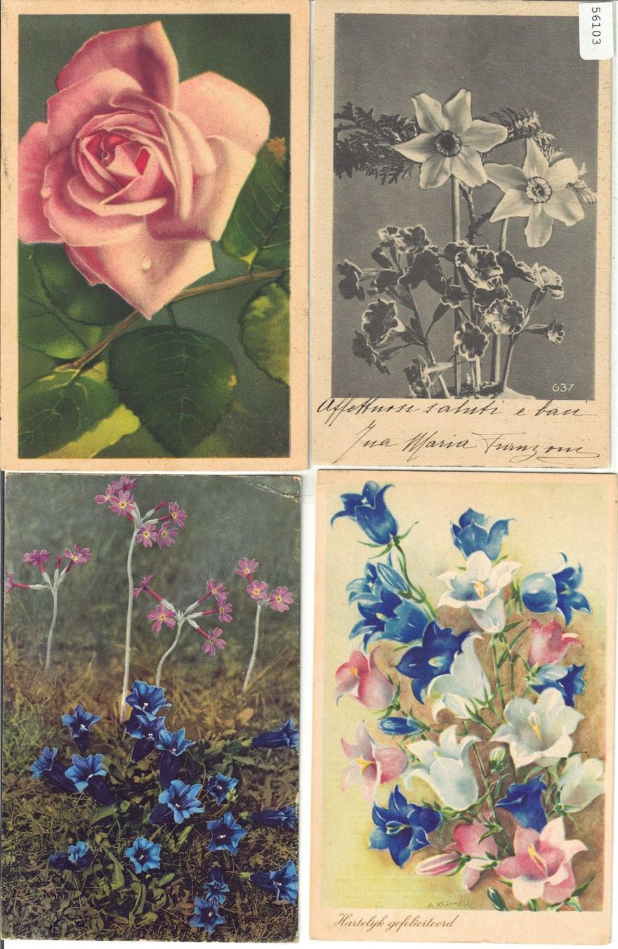 Cartoline postali: 4 AK - Blumen – Usato da Ettingen venduto da Kartenplanet