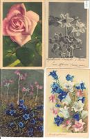 4 AK - Blumen