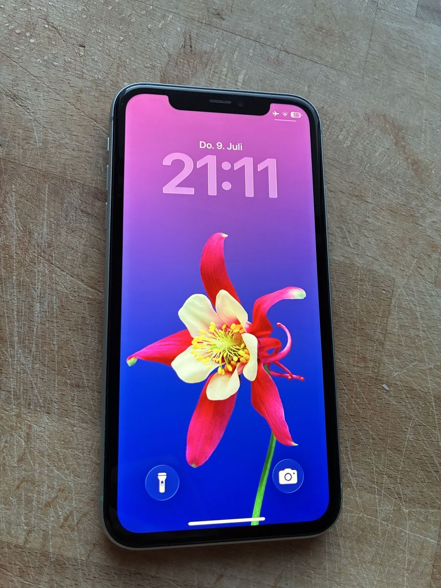 Apple Telefoni cellulari / Smartphones: iPhone 11 – Usato da Oberrindal venduto da Darmando