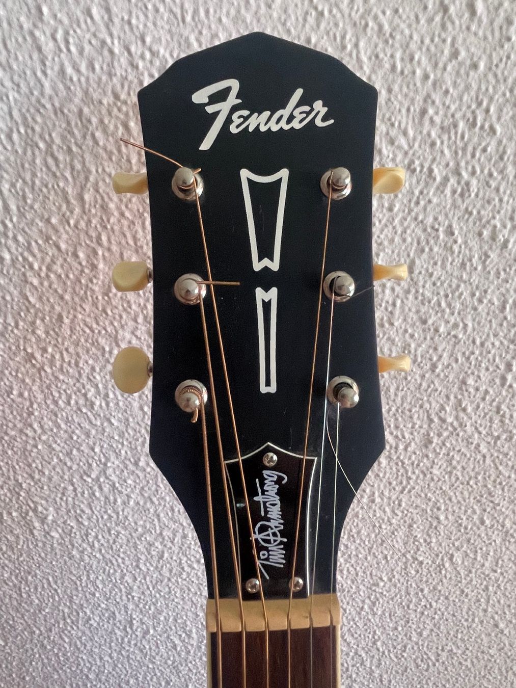 Fender Strumenti musicali: Fender Tim Armstrong Hellcat Acoustic – Nuovo (secondo la descrizione) da Zürich venduto da eric_kammermann 5