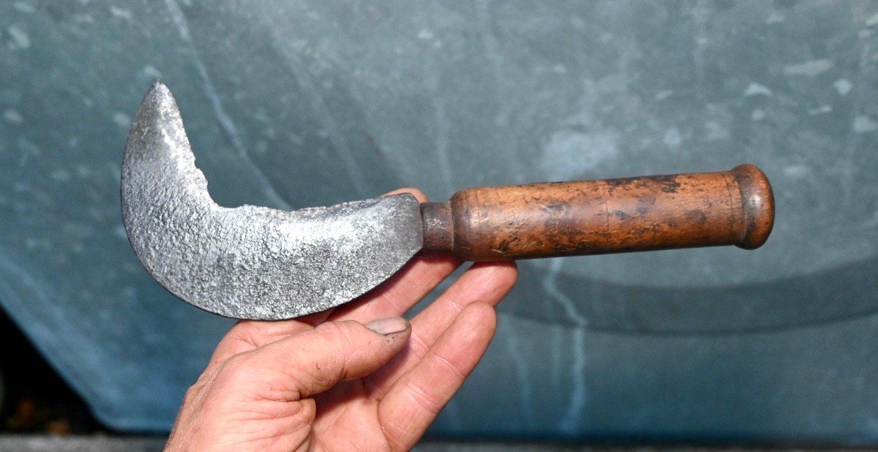 Tutti gli attrezzi: ANTIKE Handsichel Länge ca. 24cm – Usato da Pfaffhausen venduto da mono_rec 1
