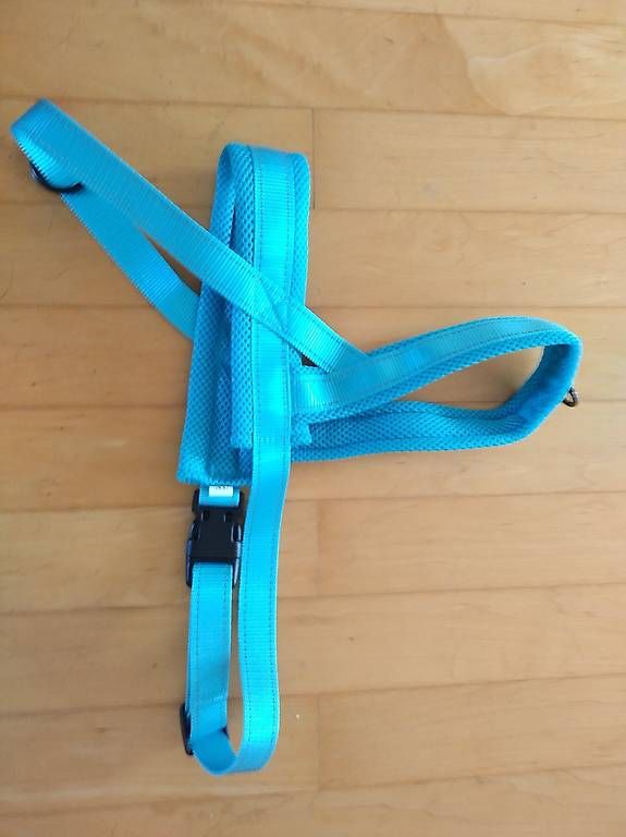Collier et laisse: Hundegeschirr  – Neuf avec emballage d'origine à Hettlingen par Sylvia24 2