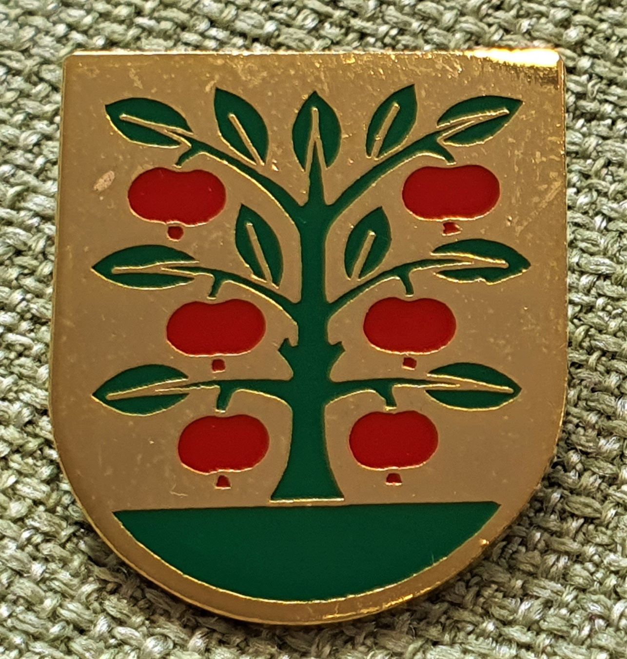 Ansichtskarten: P348 Schweiz Gemeinde Wappen Gemeindewappen - Grossaffoltern – Gebraucht aus Reinach BL von Boston-Verkauf