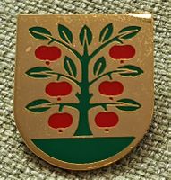 P348 Schweiz Gemeinde Wappen Gemeindewappen - Grossaffoltern