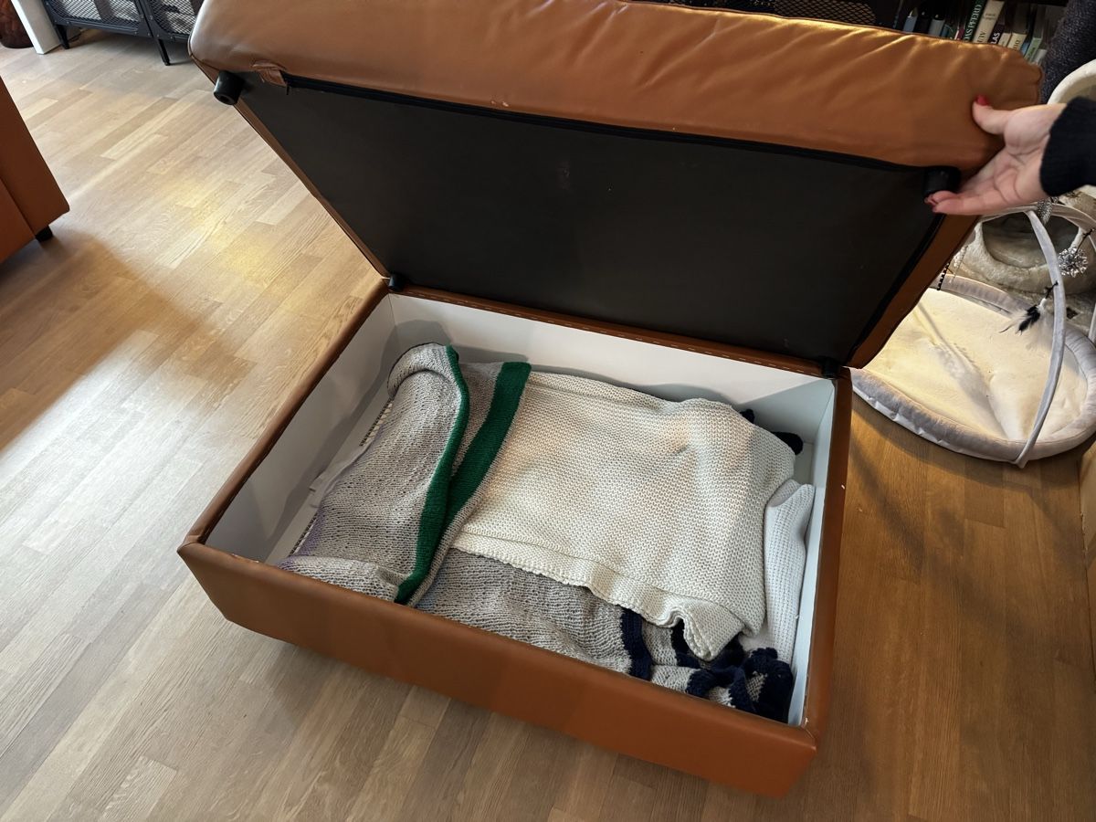 Divani: Ledersofa – Usato da Lufingen venduto da Bat55555 2
