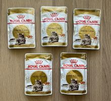 Royal Canin Maine Coon Katzenfutter 5 x 85g *NEU* EXP12/2027