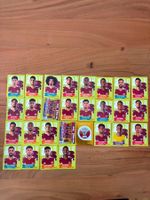 Panini Qatar QAT 2026
