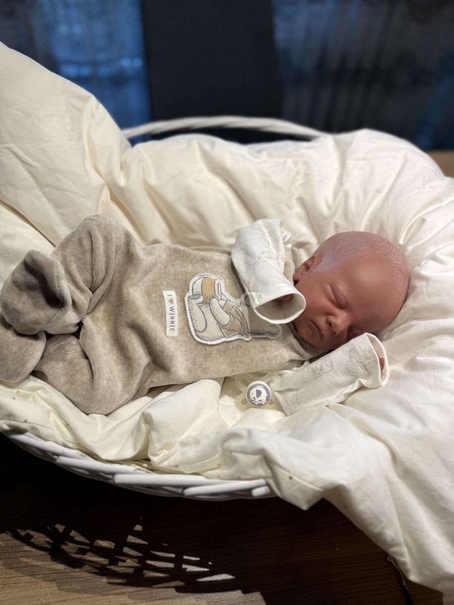 Reborn Puppen: Reborn – Neu (gemäss Beschreibung) aus Unterentfelden von van_m8g7 3