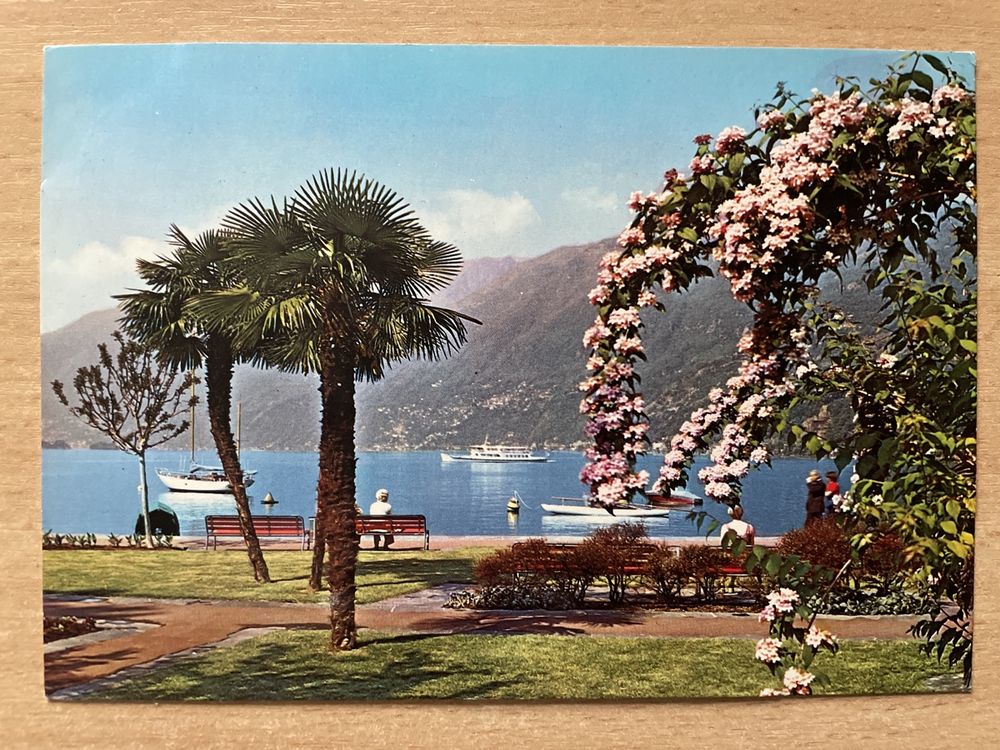 Placeholder Image