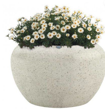 Vasi per fiori: Pflanzenbehälter LUNAO – Usato da Spreitenbach venduto da VelopaSPR