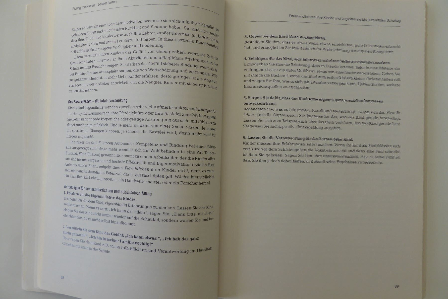 Libri: Die Gesetze des Schulerfolgs – Usato da Trimmis venduto da bergamo10 6