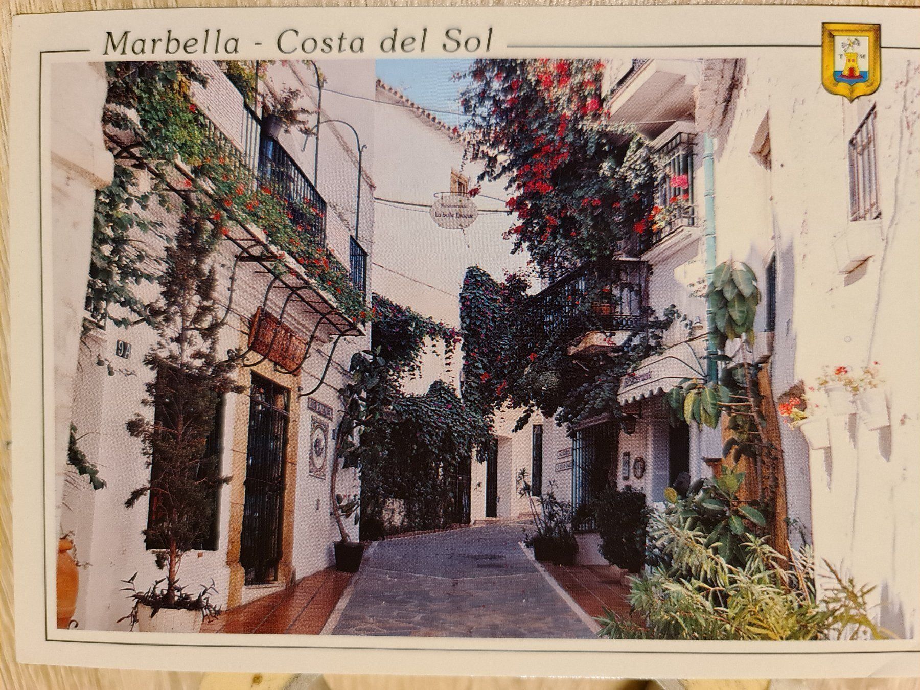 Cartoline postali: Ansichtskarte Marbella Spanien – Usato da Dintikon venduto da Vexi