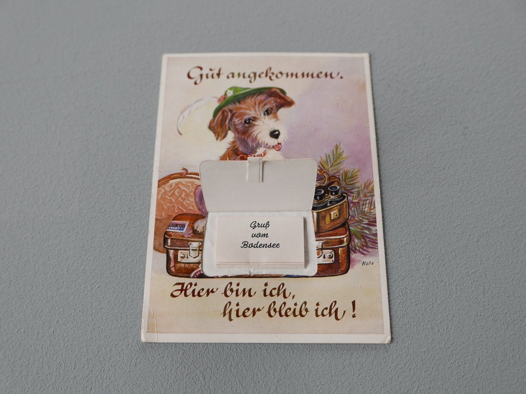 Cartoline postali: ANTIKE ANSICHTSKARTE MIT BILDERBOGEN GRUSS VOM BODENSEE – Usato da Balgach venduto da Zwischenraum 3