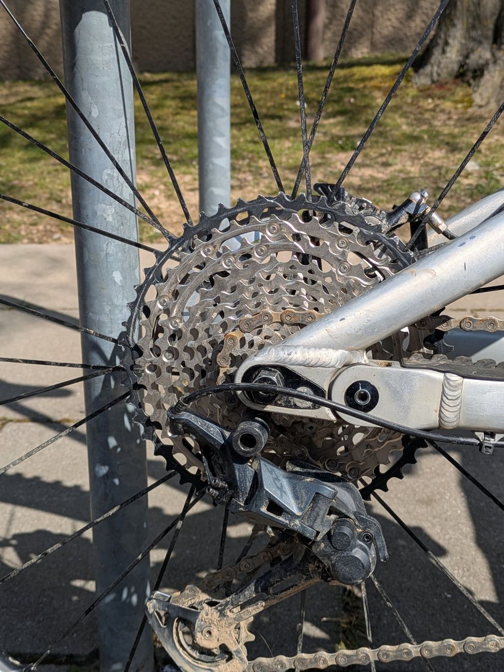 Velos: RAAW Madonna V2.2, Size L, Fox Factory, SLX, Hope Tec, Mavic – Gebraucht aus Bern von qua_yl6f 4