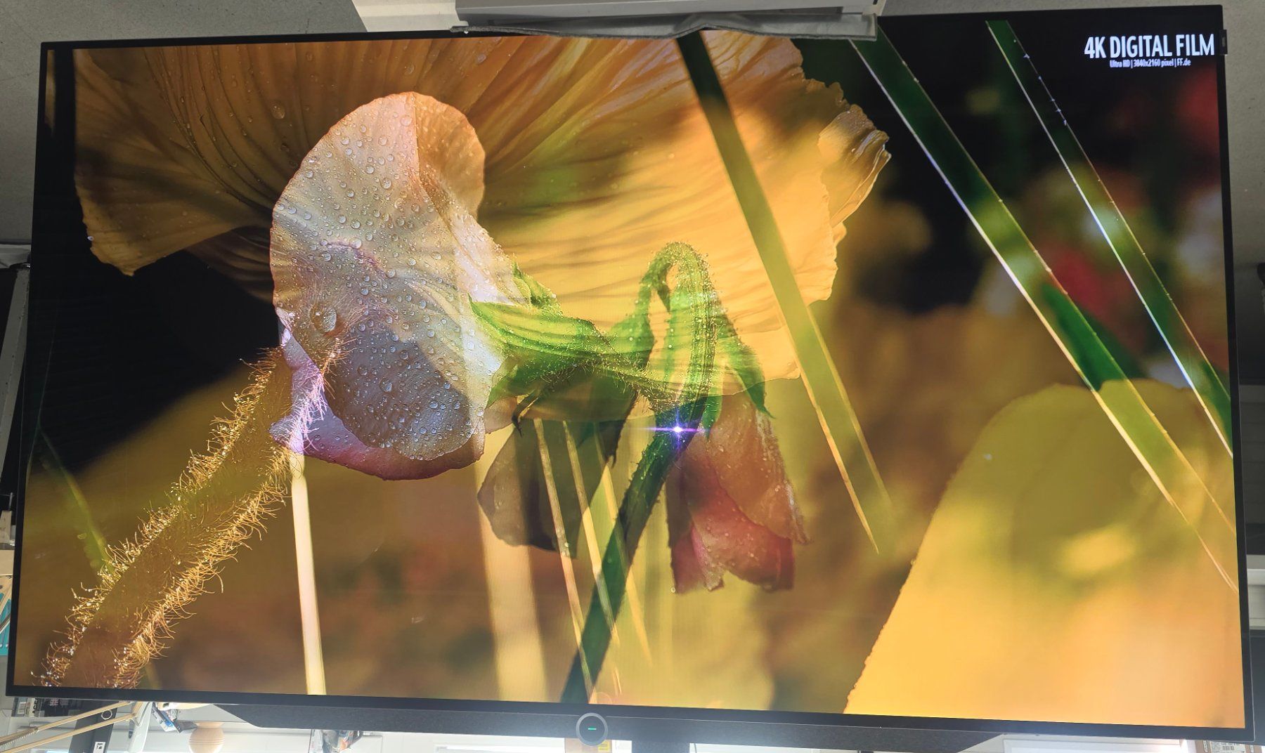 Loewe Fernseher: loewe bild 7.77 – Gebraucht aus Einsiedeln von patsteiner74 3