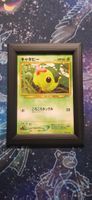 Caterpie Crossing the Ruins - 010 JP